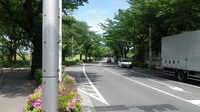 10051409_多摩川・狛江.jpg