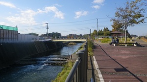 11112602_鶴見川・麻生橋.jpg