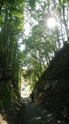 11112604_町田市三輪町.jpg